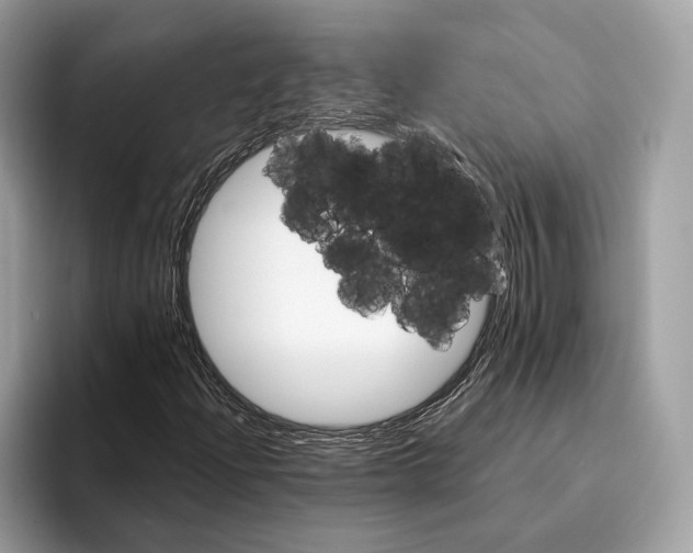 X0000095531204200801111406