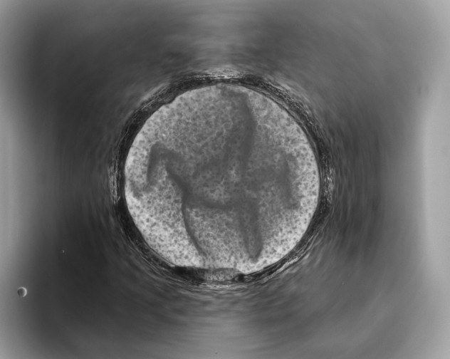 X0000095531205200801111406