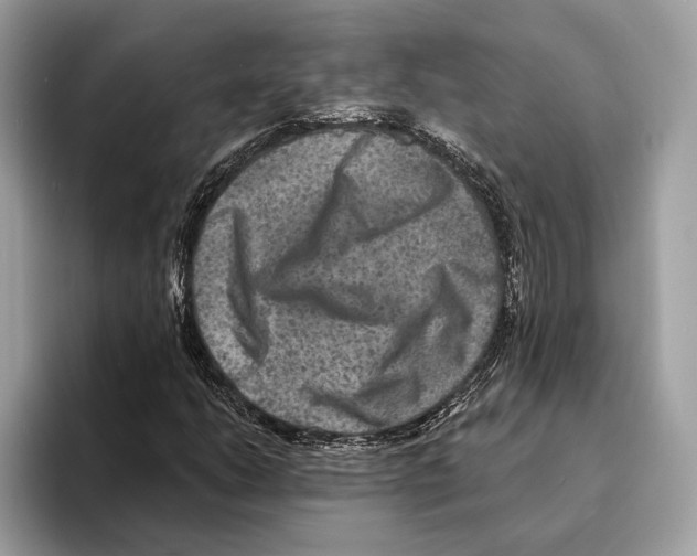 X0000095531206200801111406