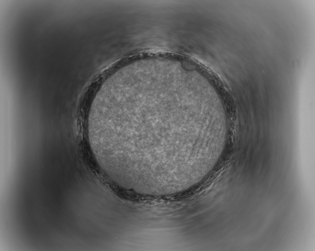 X0000095531207200801111406