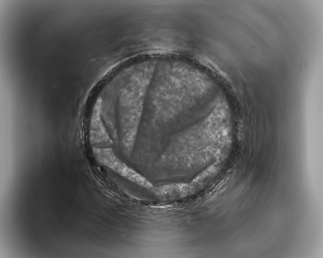 X0000095531208200801111406