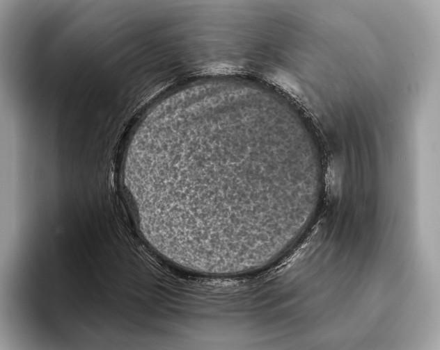 X0000095531209200801111406