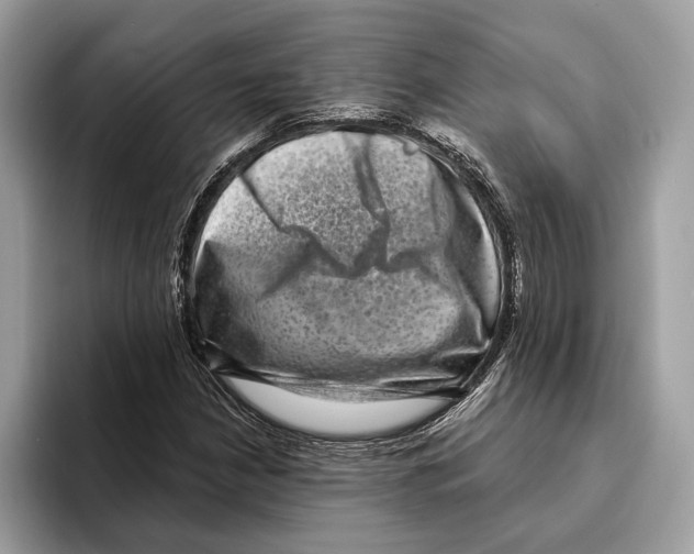 X0000095531210200801111406