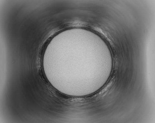 X0000095531211200801111406