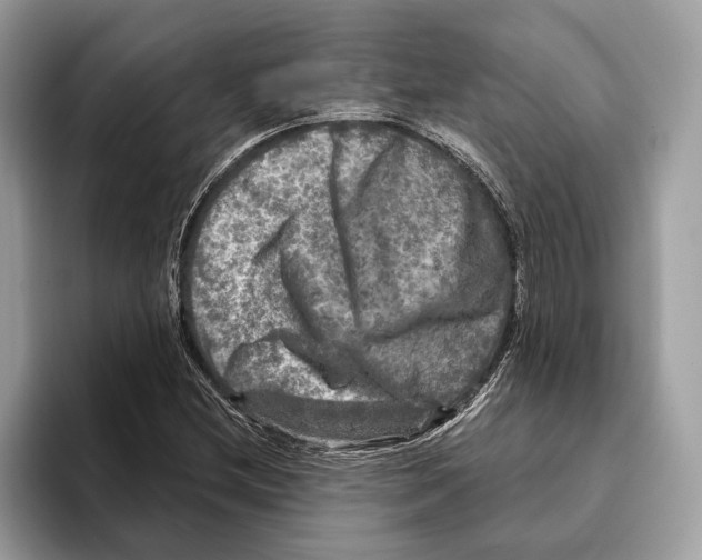 X0000095531212200801111406