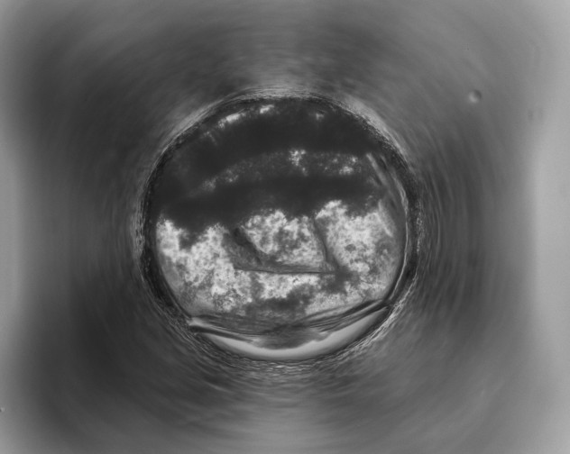 X0000095531213200801111406