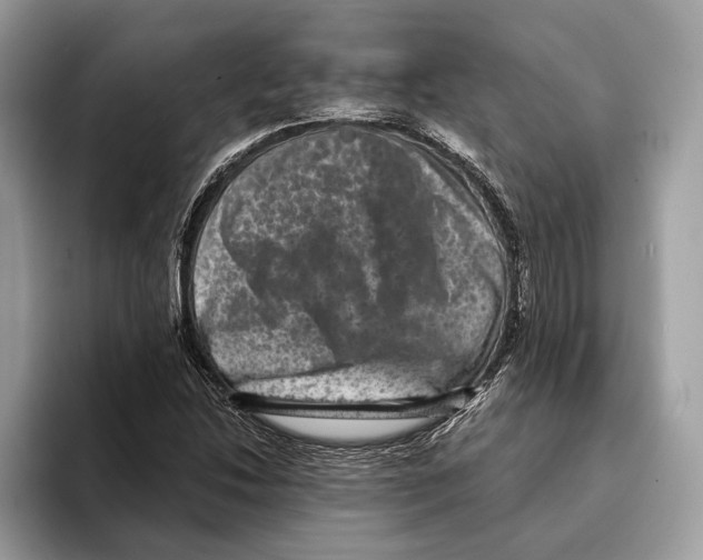 X0000095531214200801111406