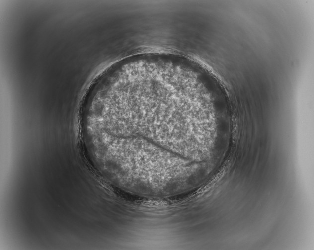 X0000095531215200801111406