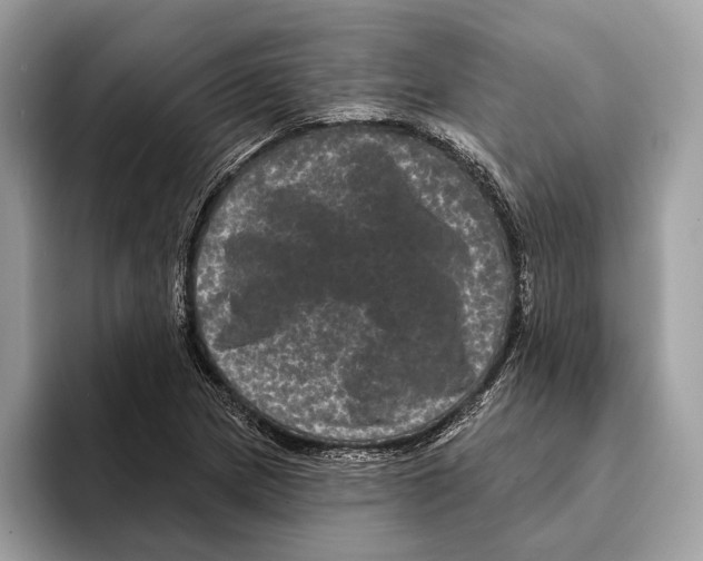 X0000095531217200801111406