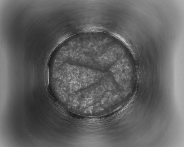 X0000095531219200801111406