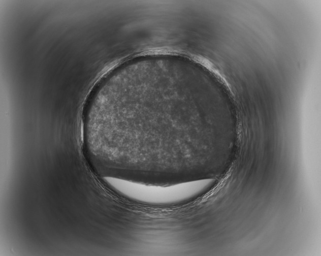 X0000095531221200801111406