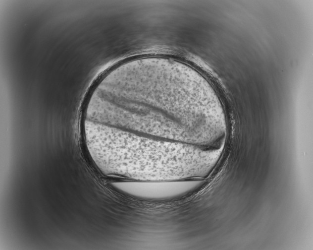 X0000095531222200801111406