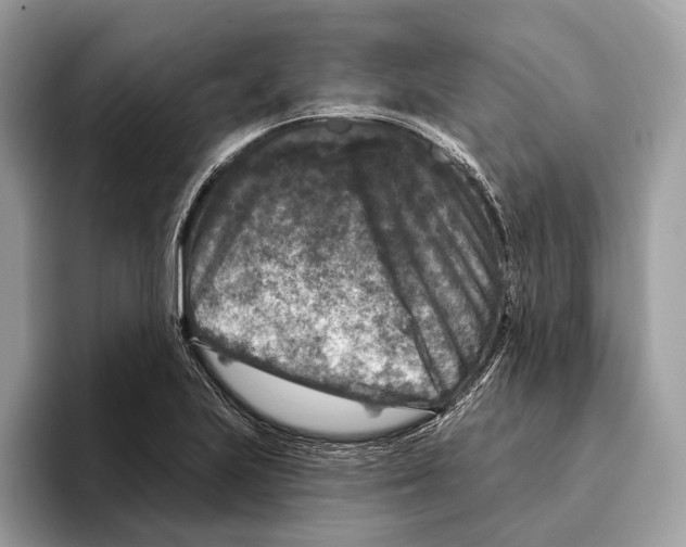 X0000095531223200801111406