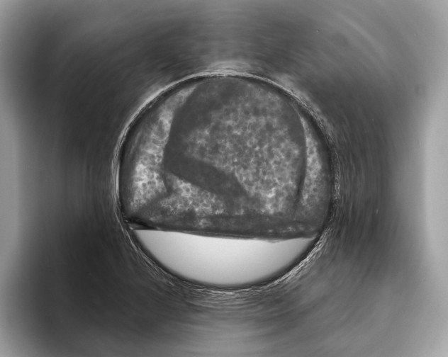 X0000095531224200801111406