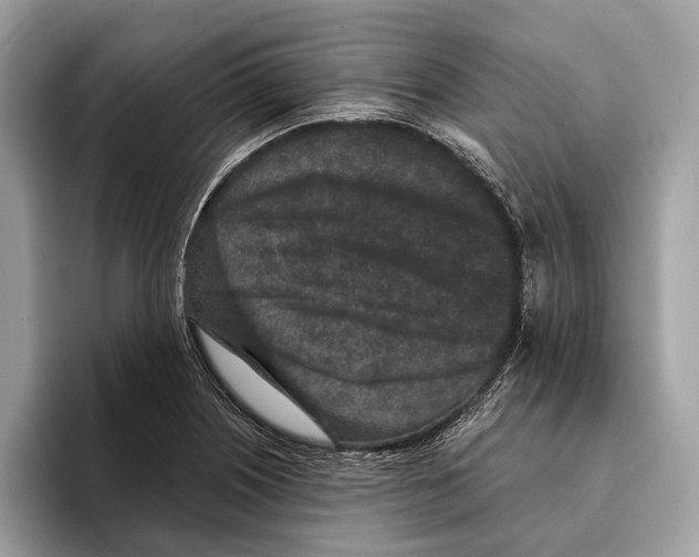 X0000095531226200801111406