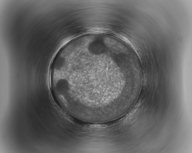 X0000095531227200801111406