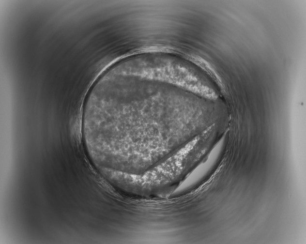 X0000095531228200801111406