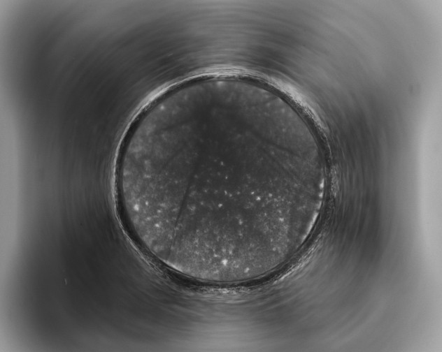 X0000095531229200801111406