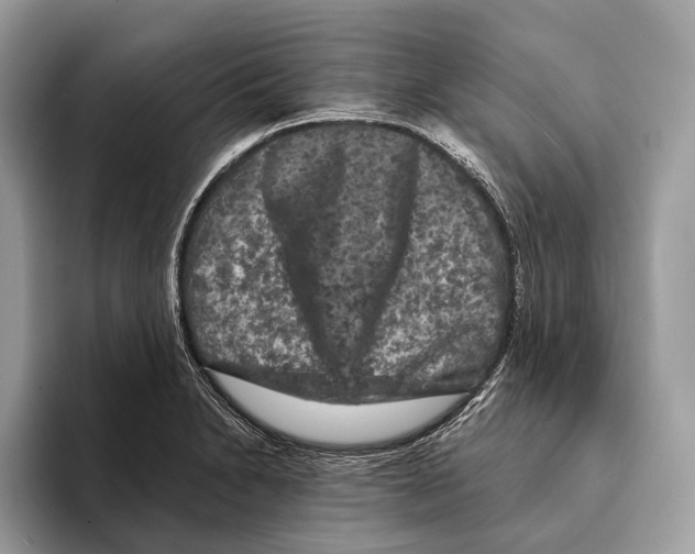 X0000095531230200801111406