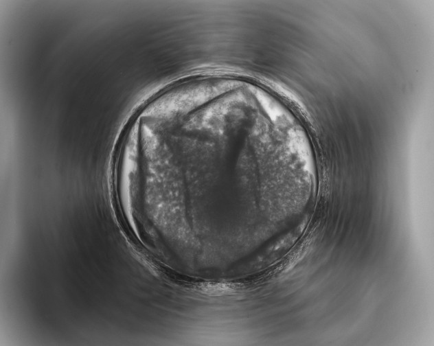 X0000095531231200801111406