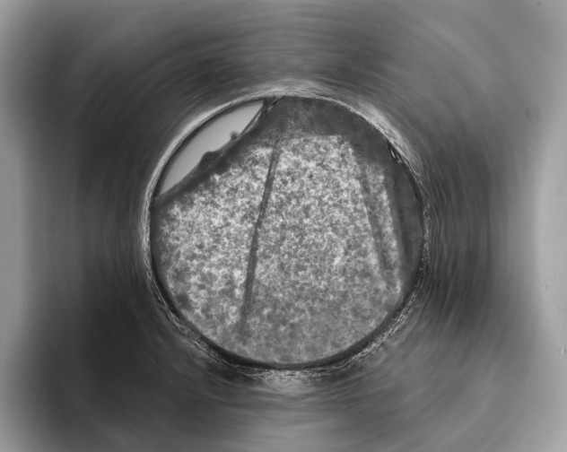 X0000095531232200801111406