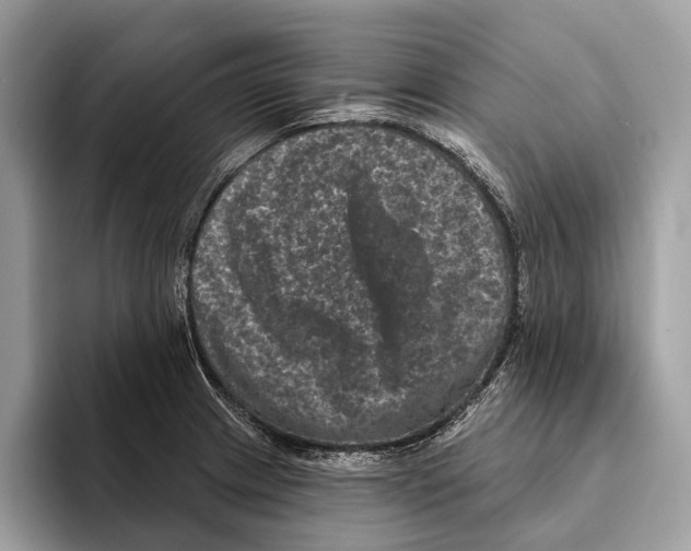 X0000095531233200801111406