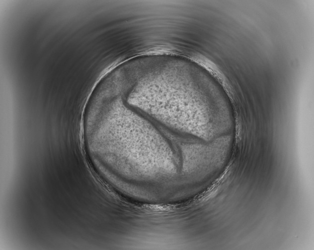 X0000095531234200801111406