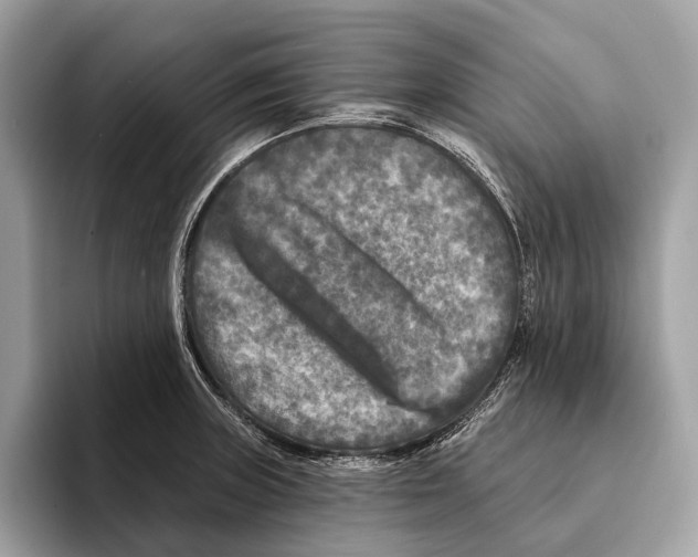 X0000095531235200801111406