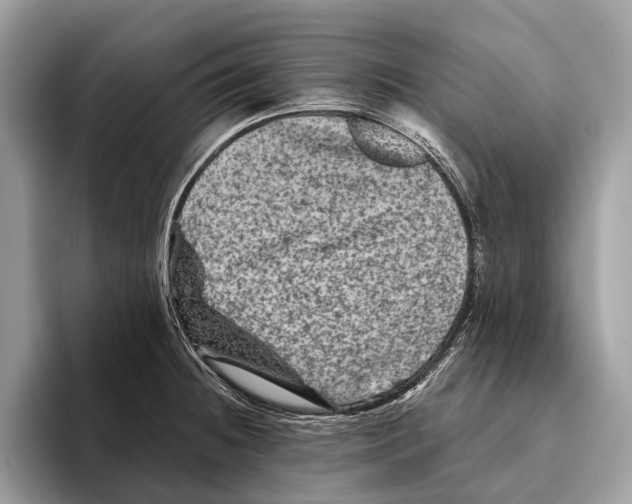 X0000095531236200801111407