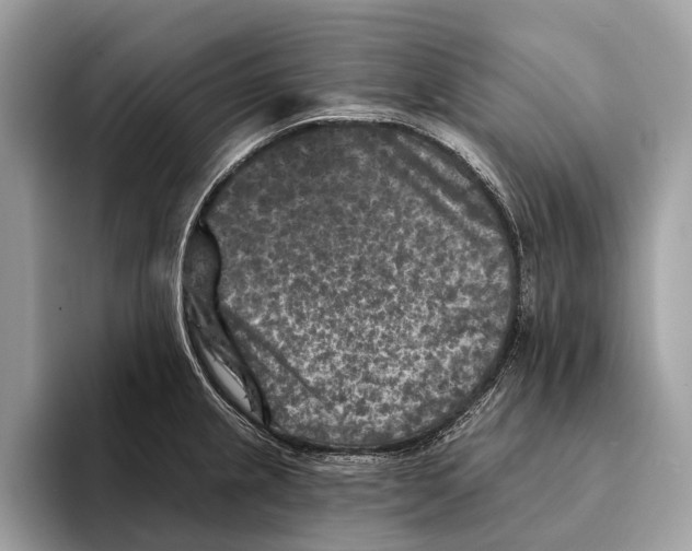 X0000095531237200801111407