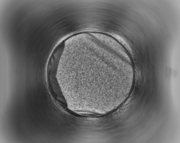 X0000095531238200801111407