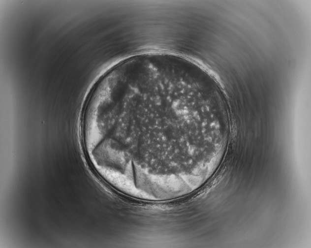 X0000095531239200801111407