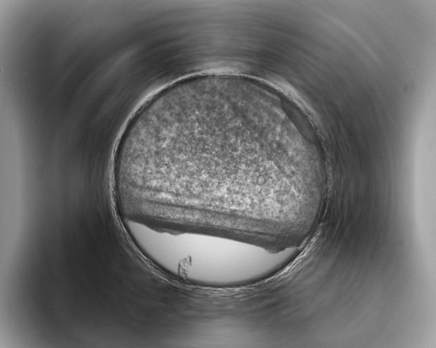 X0000095531240200801111407