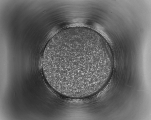 X0000095531241200801111407