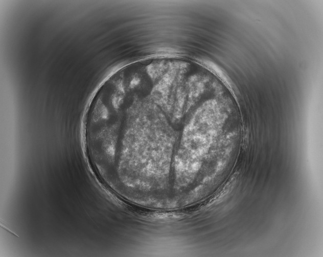 X0000095531243200801111407