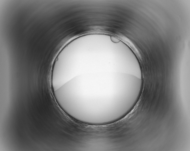 X0000095531244200801111407