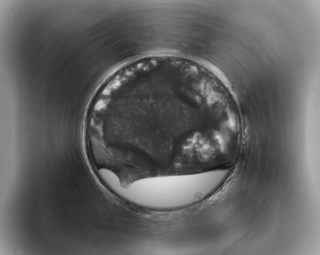 X0000095531245200801111407