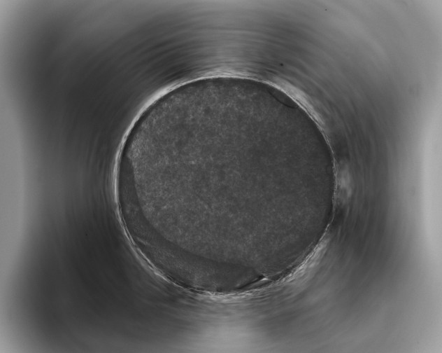 X0000095531246200801111407