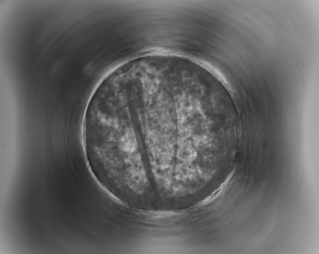 X0000095531247200801111407