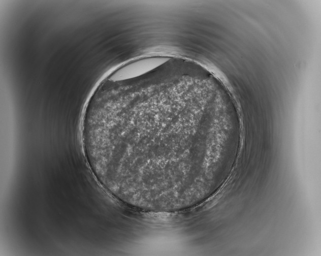 X0000095531248200801111407