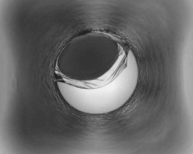 X0000095531249200801111406