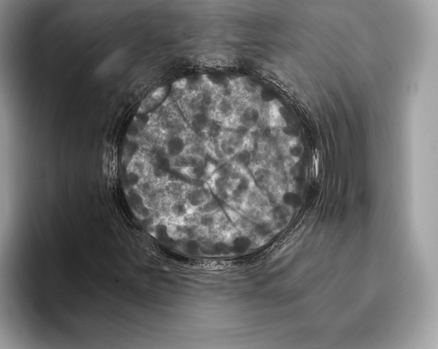 X0000095531251200801111406