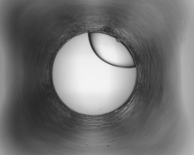 X0000095531252200801111406