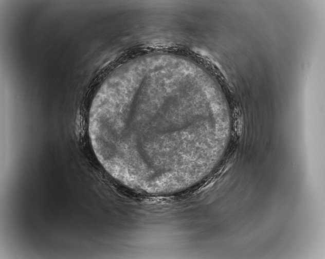 X0000095531253200801111406