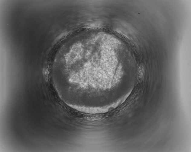 X0000095531254200801111406