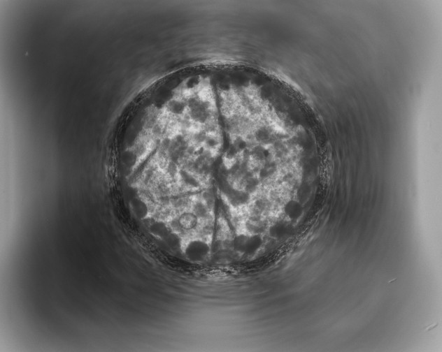 X0000095531255200801111406