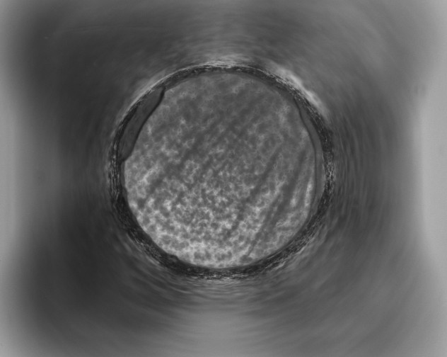 X0000095531256200801111406