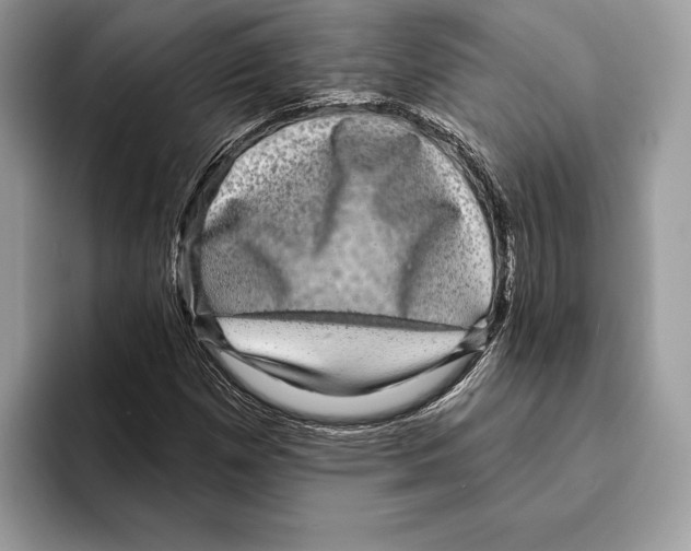 X0000095531257200801111406