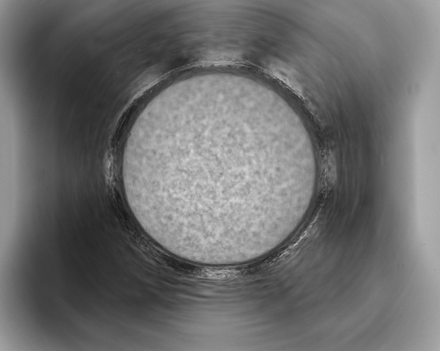 X0000095531258200801111406