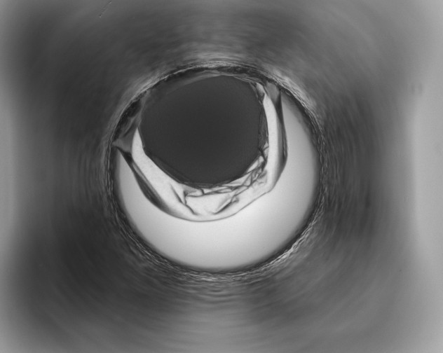 X0000095531261200801111406